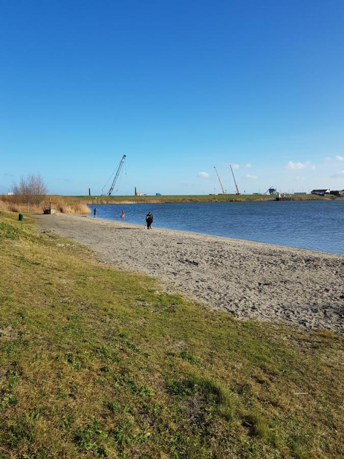 Wierhooft 21 Den Oever Eksteriør bilde